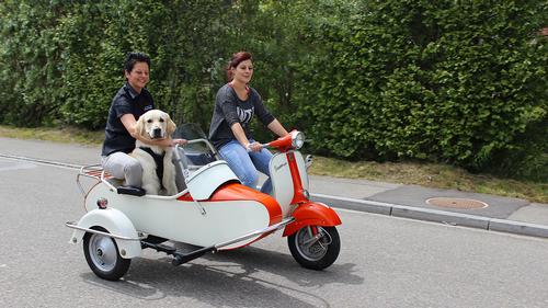1969 Vespa 150 Sidecar